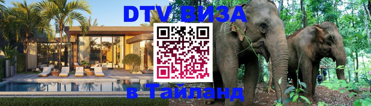 Оформление DTV визы под ключ: стоимость и тарифы, только загранпаспорт - 04.10.2025 